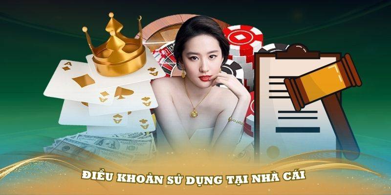 Điều khoản sử dụng là gì?