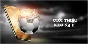 Kèo 0.5/1 Là Sao? Nhận Định Kèo Thơm Ngay Tại Nhà Cái UU88