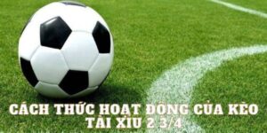 Kèo Tài Xỉu 2 3/4 Nghĩa Là Sao Cùng Chiến Thuật Từ Cao Thủ