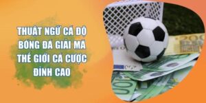 Khám Phá Các Thuật Ngữ Trong Cá Độ Bóng Đá Cho Newbie UU88