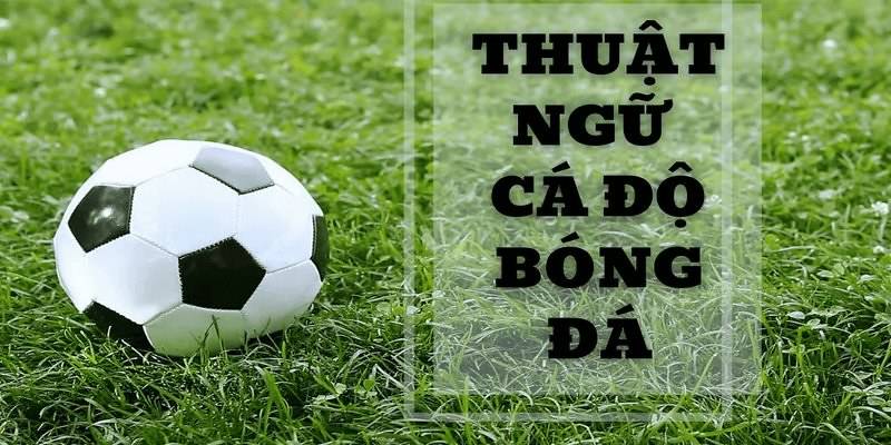 Sơ lược thông tin về các thuật ngữ trong cá độ bóng đá